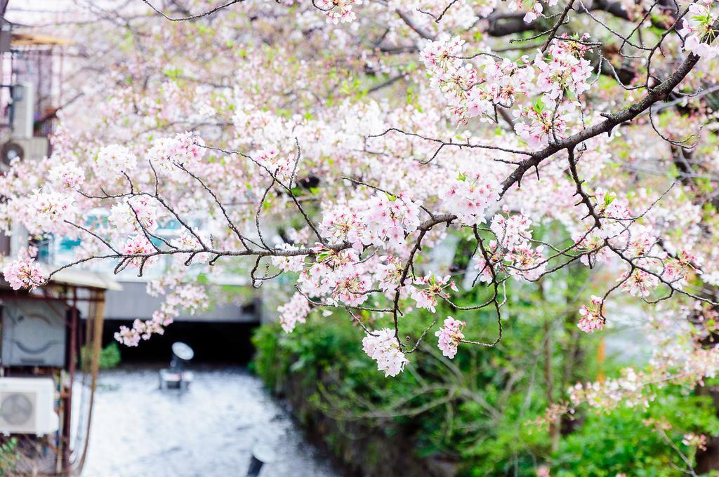 Kumomachiya Takasegawa Villa Kyoto Bagian luar foto