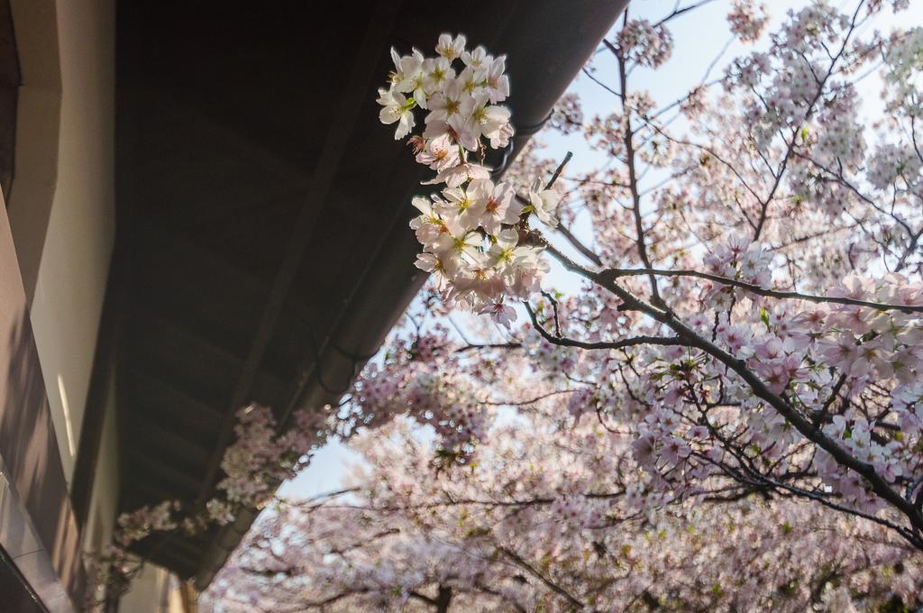 Kumomachiya Takasegawa Villa Kyoto Bagian luar foto